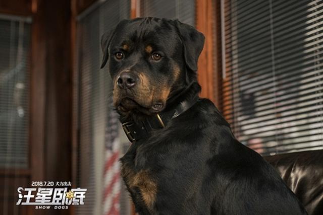 ���˸繷��ӰϷ(�������Եס�Ȯ���������永 �Ե�����Ц����٣�)