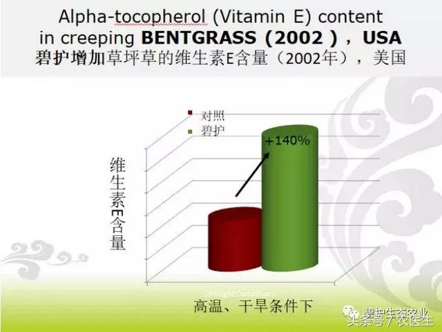 知识点｜碧护抵抗高温热害的作用原理5