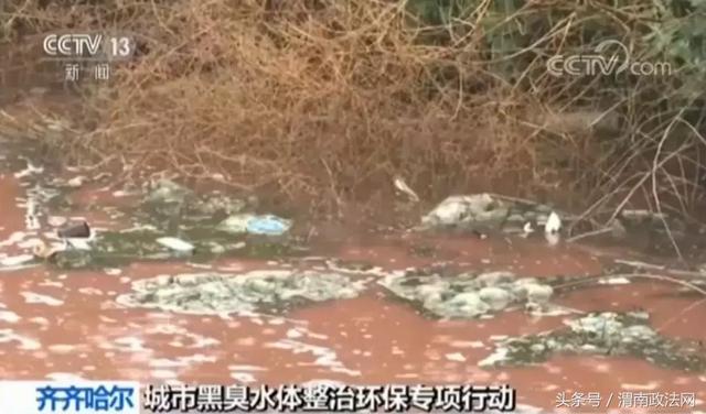 一体式过滤机有加氧
