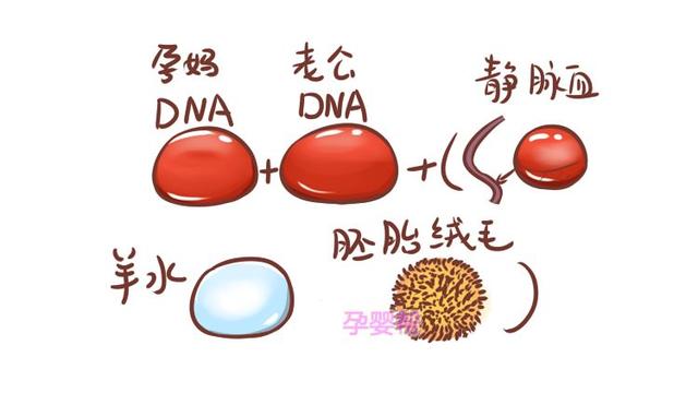 孕期能做DNA鉴定吗