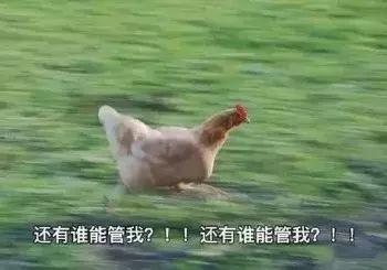 沙县印刷包装机械展举办费用