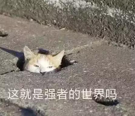 沙县印刷包装机械展举办费用