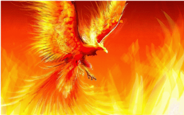 600_377gif 动态图 动图