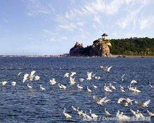 秦皇岛旅游攻略著名景区（河北秦皇岛又一座美丽的旅游景区）(1)