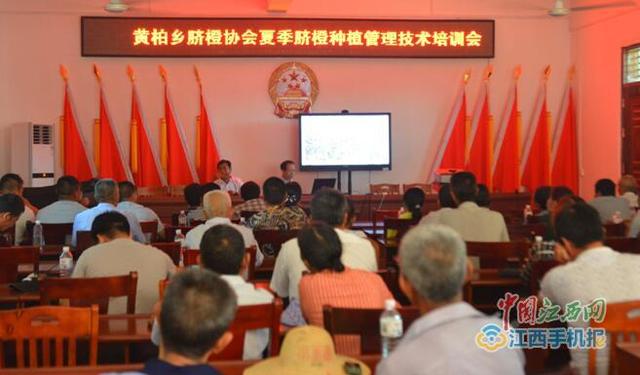 瑞金脐橙种植概况「中国赣南脐橙产业园」
