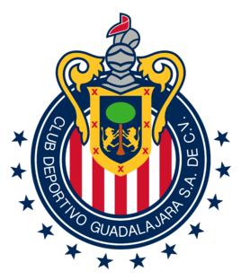 墨西哥足球什么水平（带你了解神秘的墨西哥足球联赛）(19)