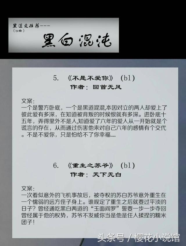 关于黑社会的小说