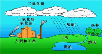 酸雨的主要成分（酸雨的主要成分是二氧化硫吗）