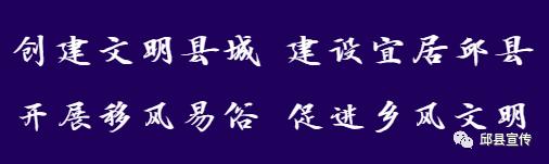 油渣分离过滤机
