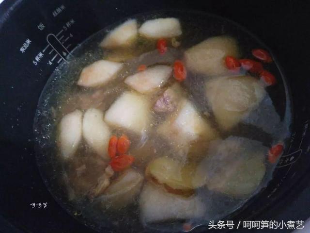 白鸽汤