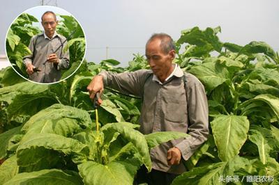 这个除草剂功能不但除草，还有你不知道的秘密1