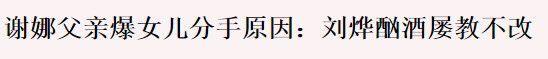 谢娜分手:谢娜为什么会和刘烨分手？