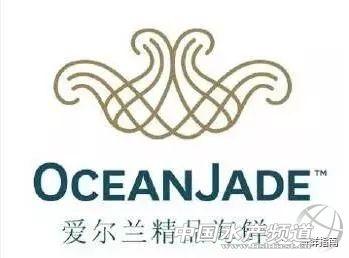 大龙虾破碎机实验