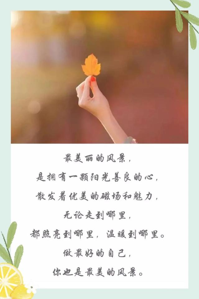 早安日签阳光180815：不要辜负美好的晨光