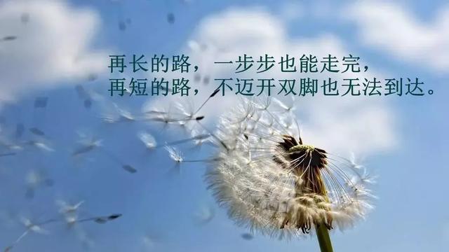 units units（unit是什么意思中文） 生活