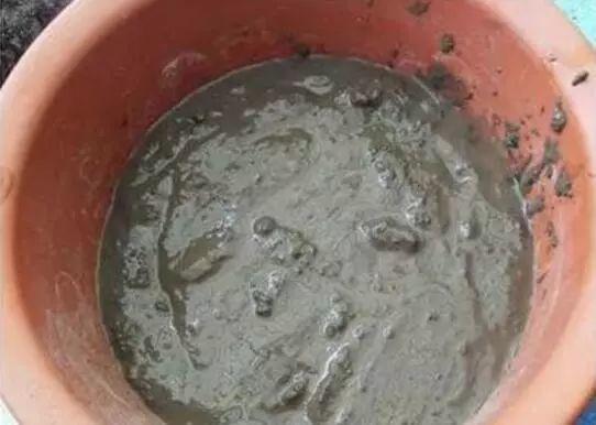 莲花怎么样
