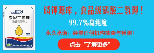 水稻纹枯病有哦特效药剂吗？推荐几个热门农药！