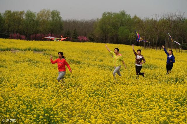 节日民俗