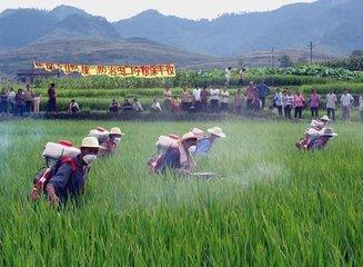 常用杀菌剂分类，建议收藏！3