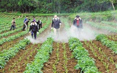 阿维菌素的作用、特点和使用要点3