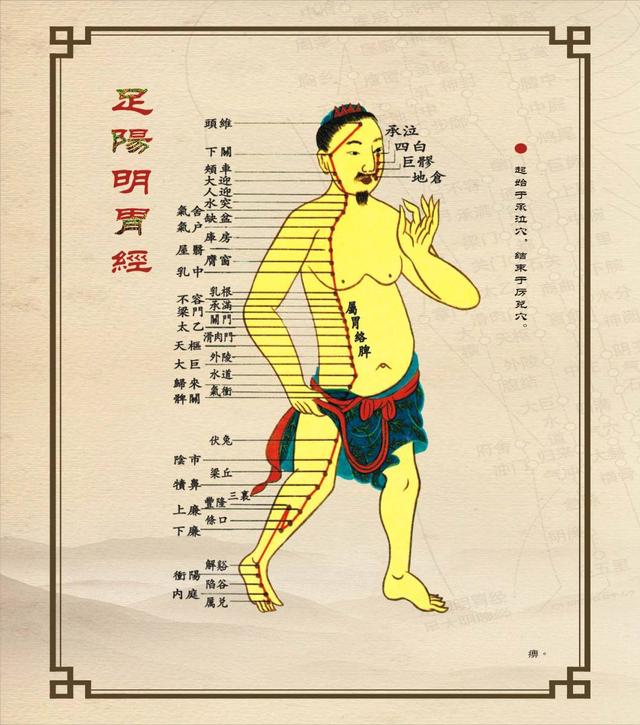 经络按摩也有很好保健康复作用经络通畅健康自来