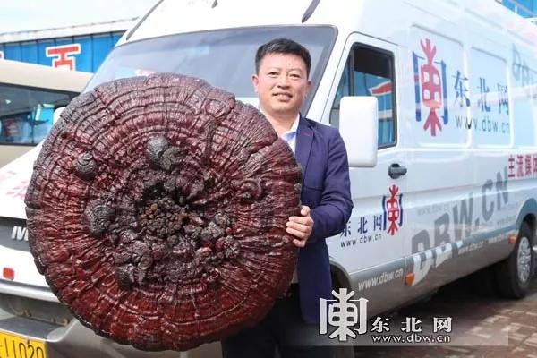 富锦机械展