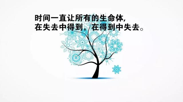 正能量早安心语181128：喜欢就要去争，而不是想着去捡