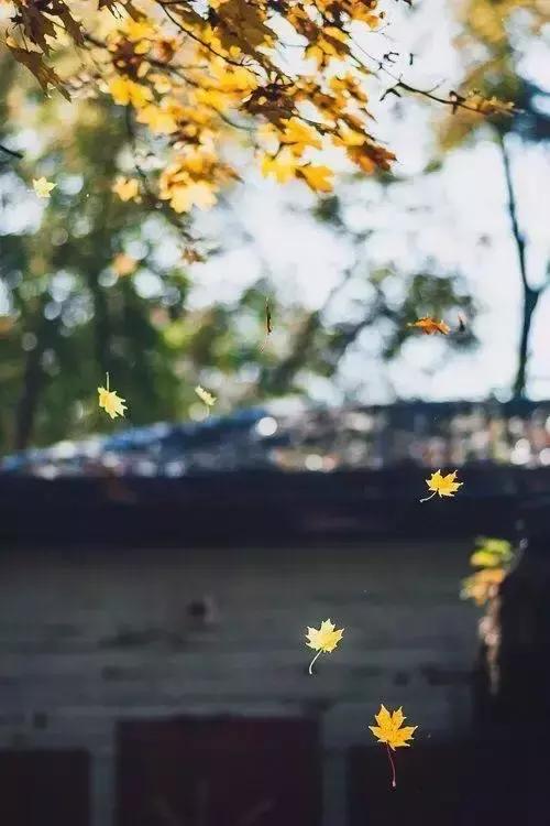 十月早安美文：10月，你好，天凉好个秋