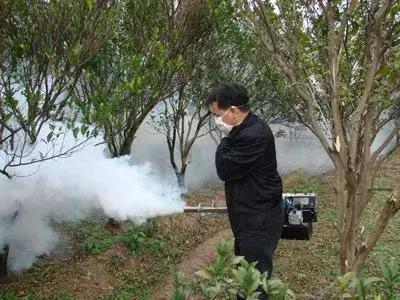 草甘膦防除杂草，不同作物用法大不同？