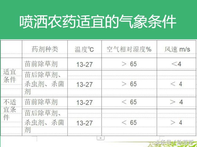 甘蔗田杂草的科学防控15