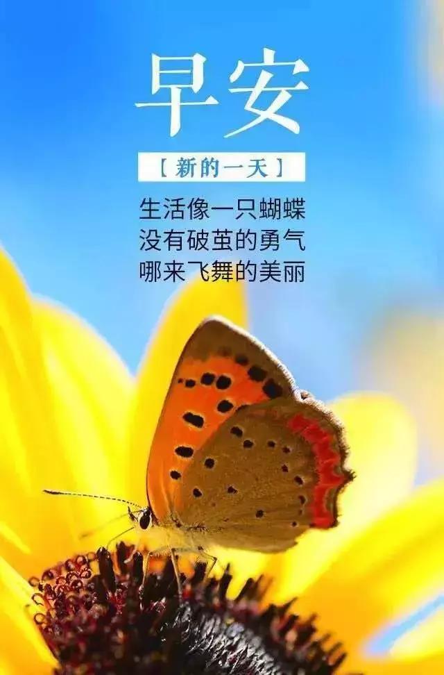 十月正能量早安说说句子：你唯一的机会，就是忠诚和勤奋！