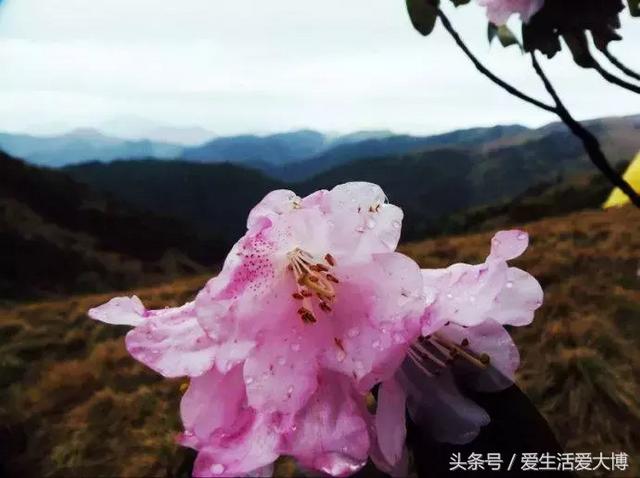 蛟河细碎制砂机