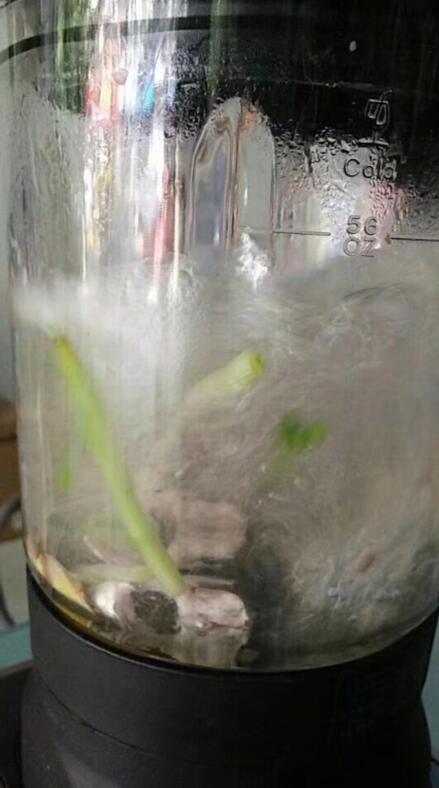在破碎机里怎么做鲫鱼汤