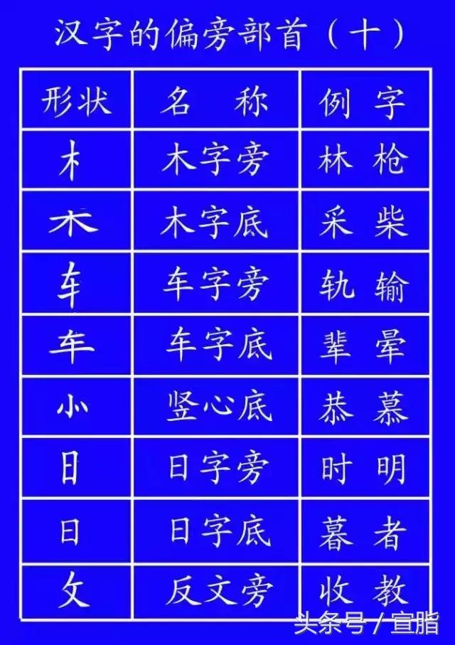 体的笔顺