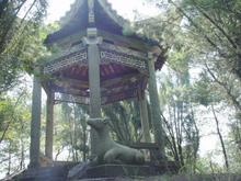 株洲河卵石制砂机厂家