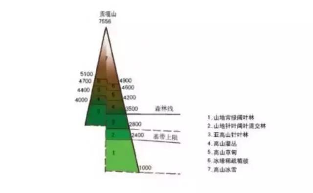 贡嘎山登顶(贡嘎山登顶人数)