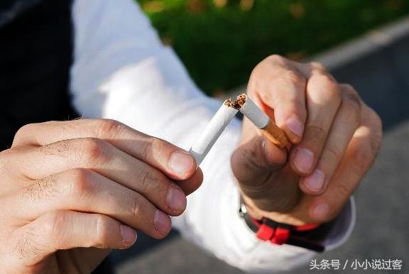 局长戒烟小说阅读答案「教育局张科长」