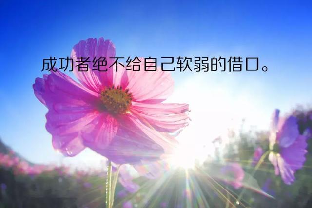 早安心语正能量190512：奋斗是一种乐趣，挫折是一种磨练