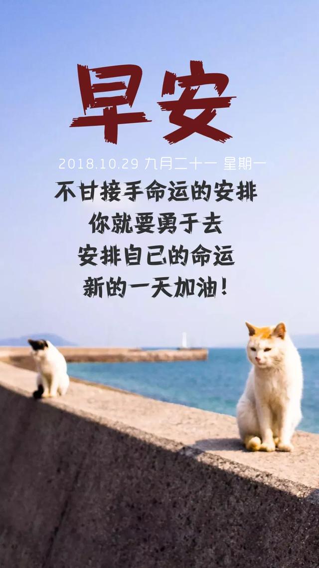 周一早安日签181029：苦要自己扛，泪要自己尝