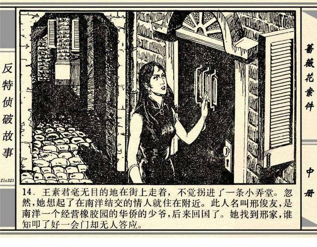 蔷薇花案件