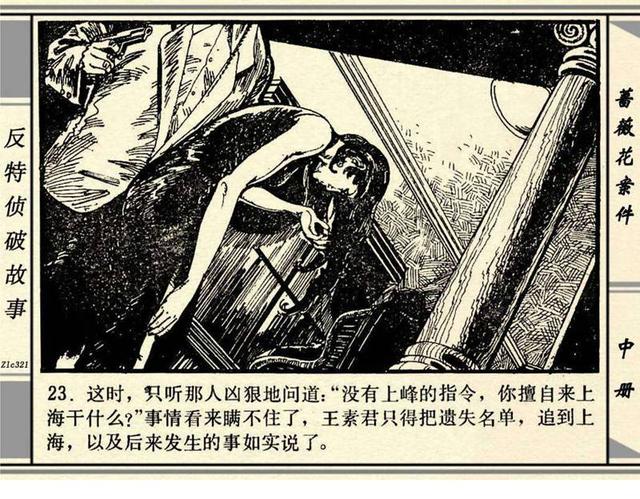 蔷薇花案件