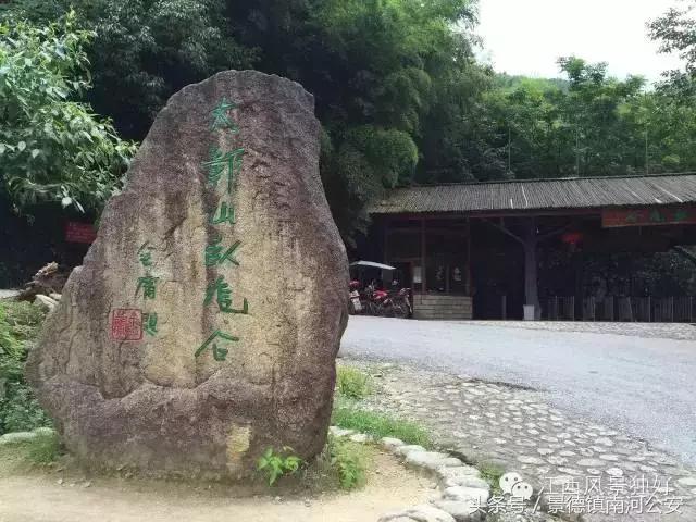 金庸籍贯