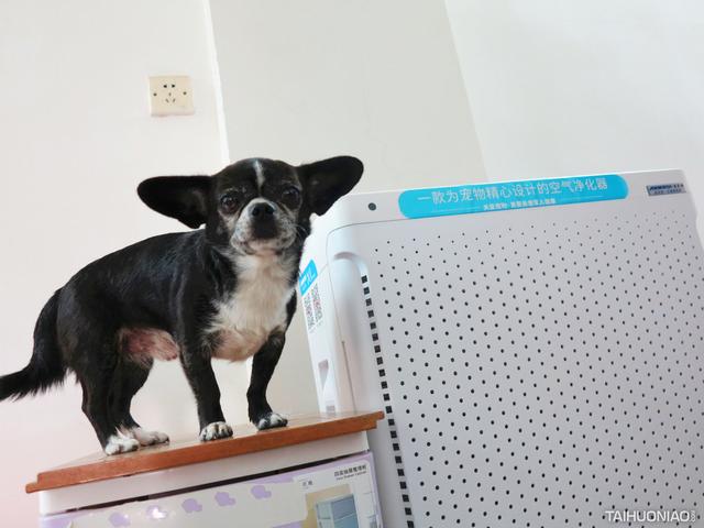 板式过滤机cad