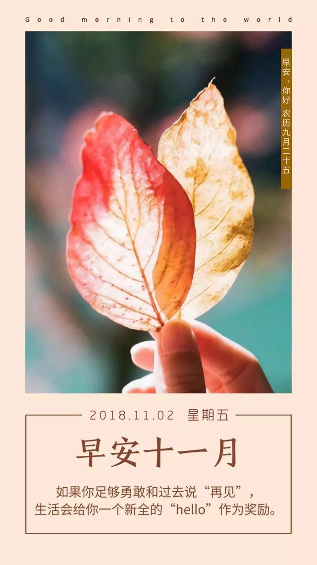 11月早安日签图片：人生有葱动，才会有姜来