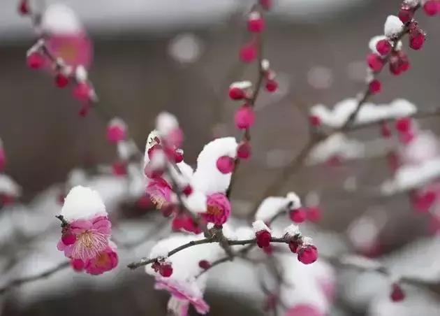 晚安句子190108：愿你不只会安慰别人，愿你多懂心疼自己