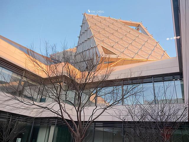 盐城旅游景区有什么好玩的（盐城有什么地方好玩）(1)