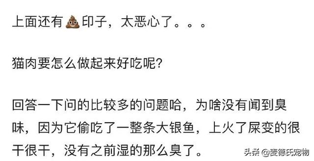 猫原来去猫砂盆现在到处尿（我家米桶被猫当猫砂盆了）(2)