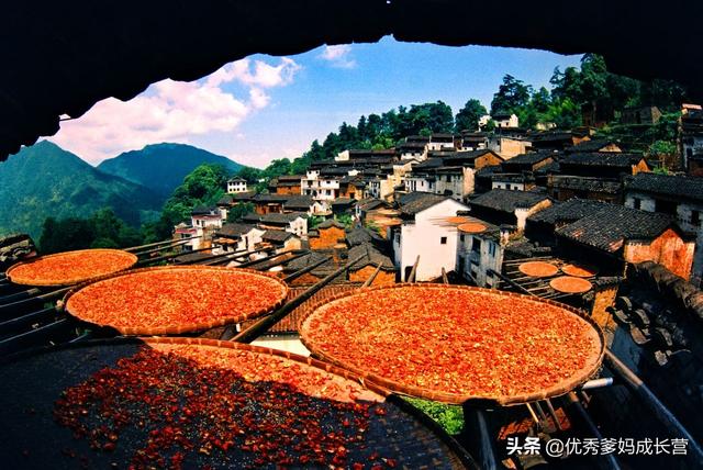 十一假期，陪孩子必看的7部神级纪录片，千万别错过