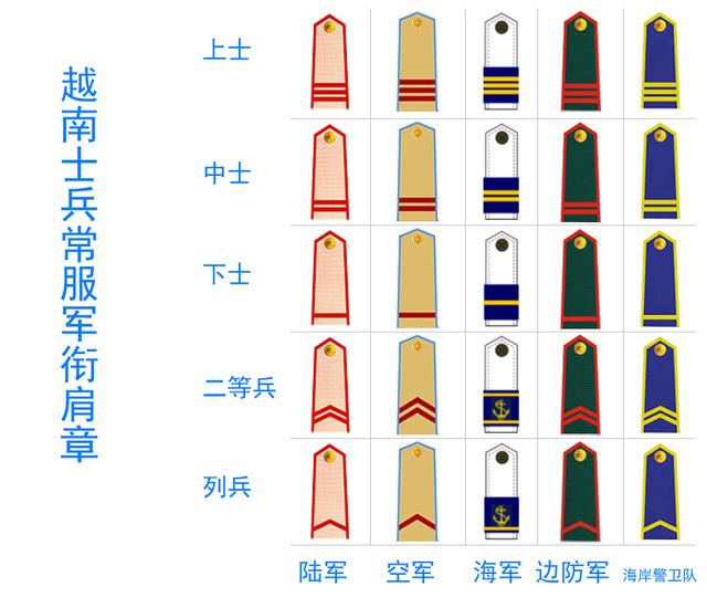 士官肩章（士官肩章级别图）