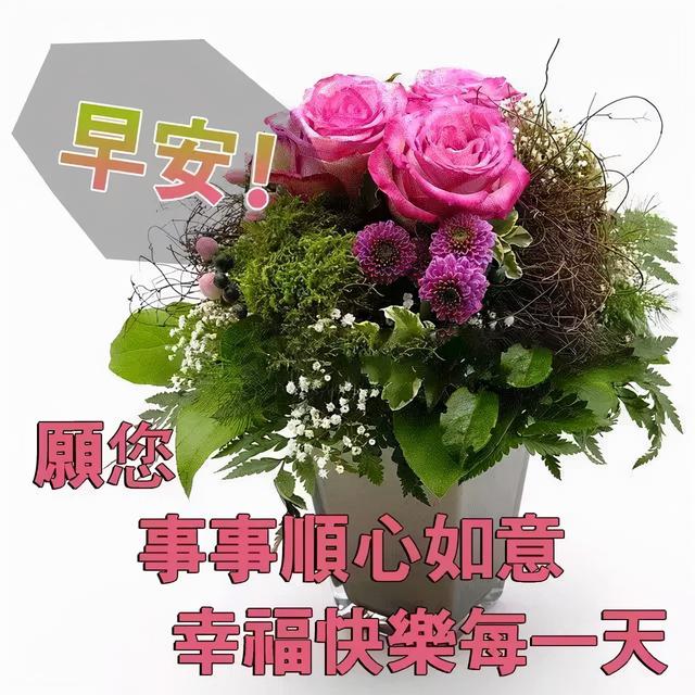 珍惜当下，恬淡随意地生活，便是浅浅的快乐，早安